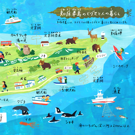 絵本「世界自然遺産知床の自然と人とヒグマのくらし」