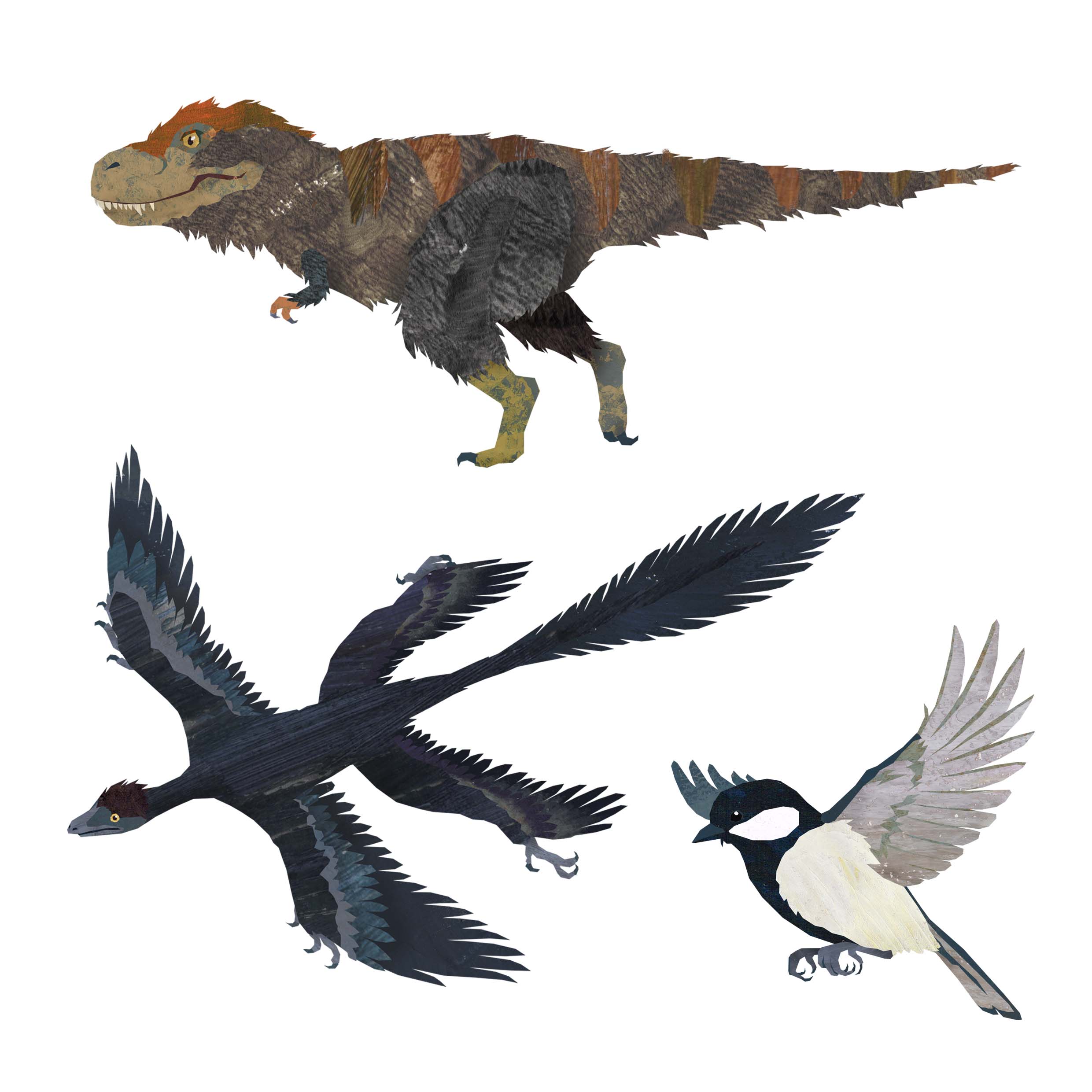 鳥になった恐竜の図鑑 挿し絵イラスト